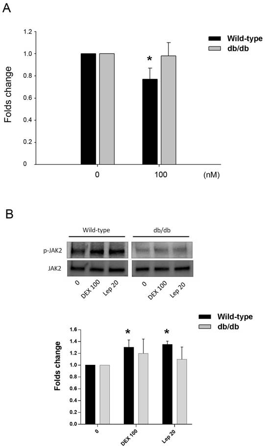 Int J Med Sci Image