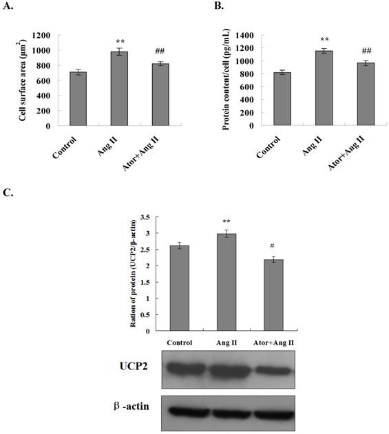 Int J Med Sci Image