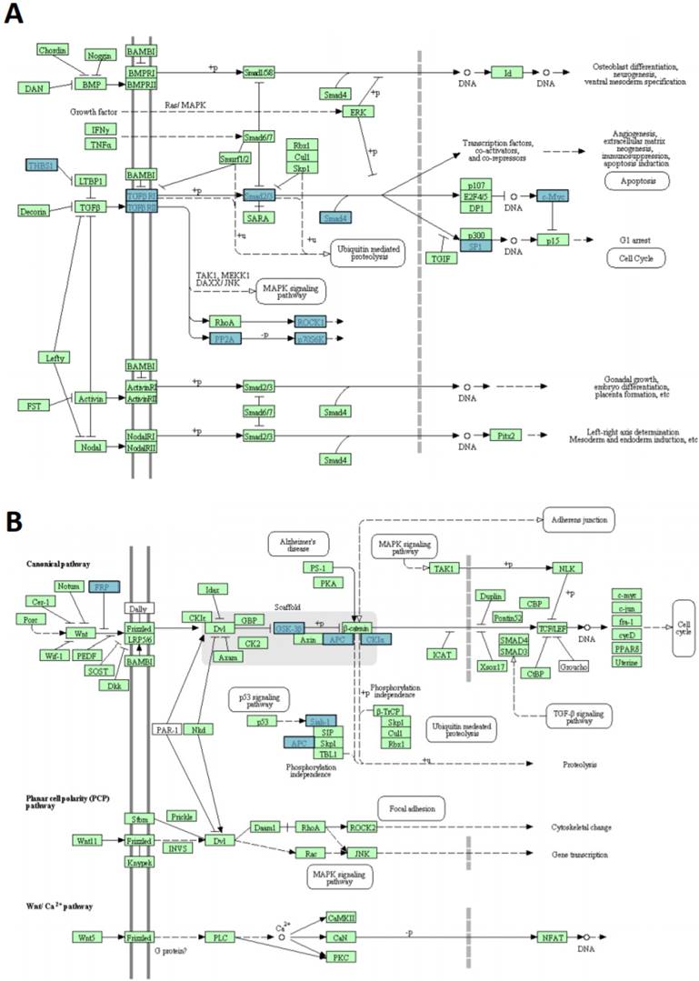 Int J Med Sci Image