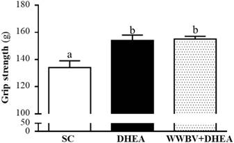 Int J Med Sci Image