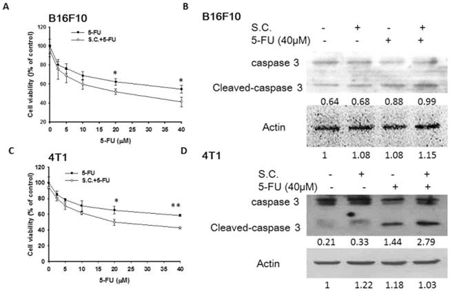 Int J Med Sci Image