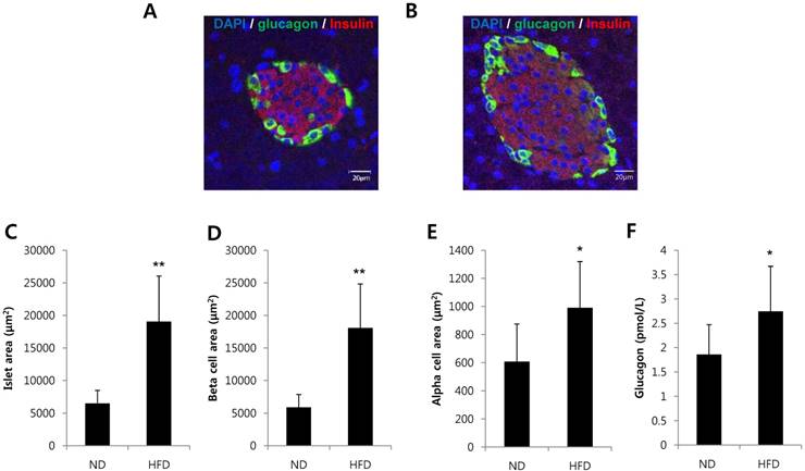 Int J Med Sci Image