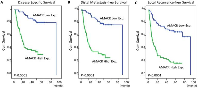 Int J Med Sci Image