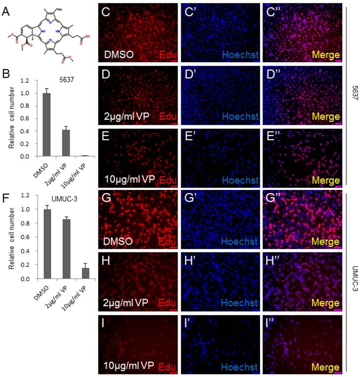 Int J Med Sci Image