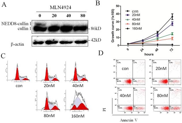 Int J Med Sci Image