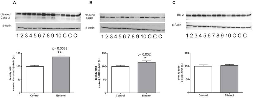 Int J Med Sci Image