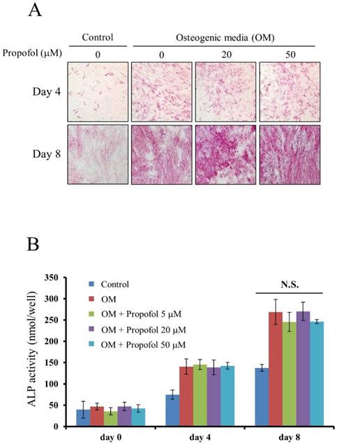 Int J Med Sci Image