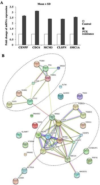 Int J Med Sci Image