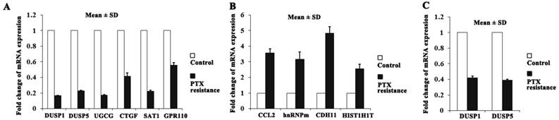 Int J Med Sci Image