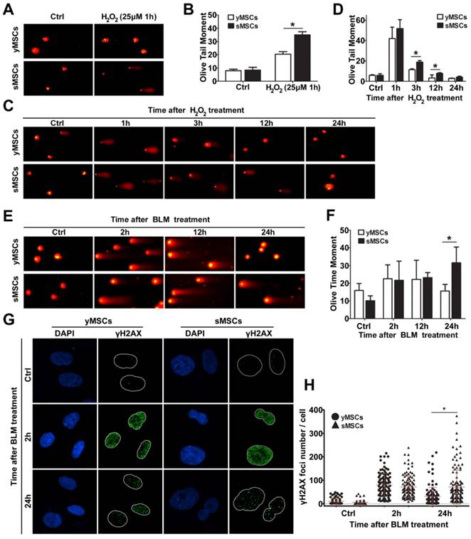 Int J Med Sci Image