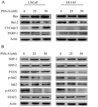 Int J Med Sci Image