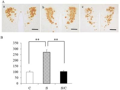 Int J Med Sci Image