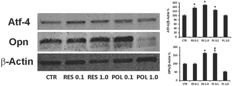 Int J Med Sci Image