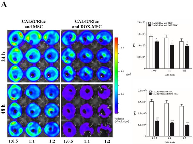 Int J Med Sci Image