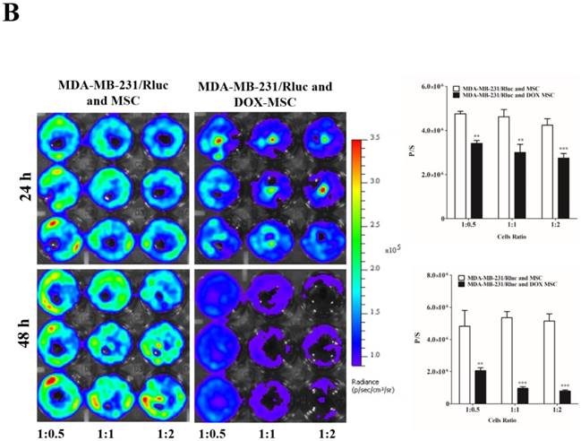 Int J Med Sci Image