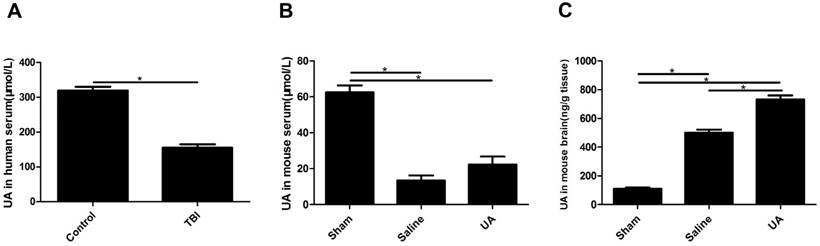 Int J Med Sci Image