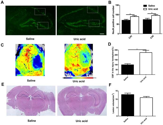 Int J Med Sci Image