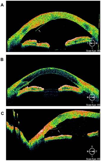 Int J Med Sci Image