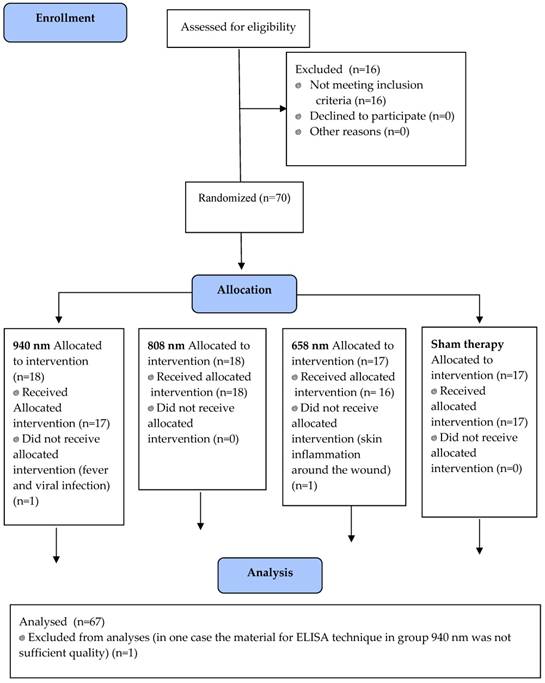 Int J Med Sci Image