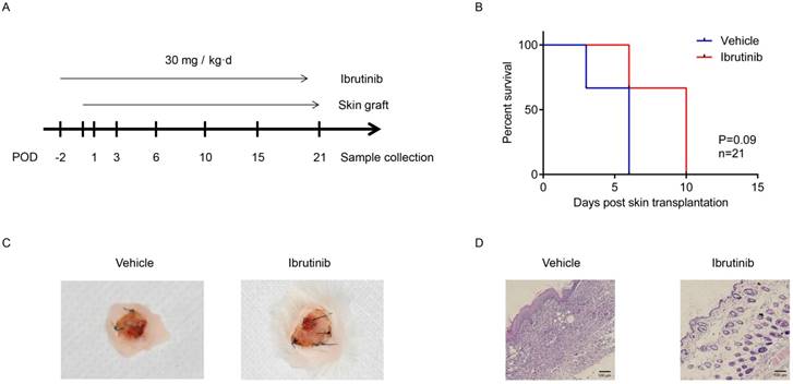 Int J Med Sci Image