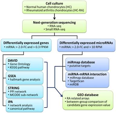 Int J Med Sci Image