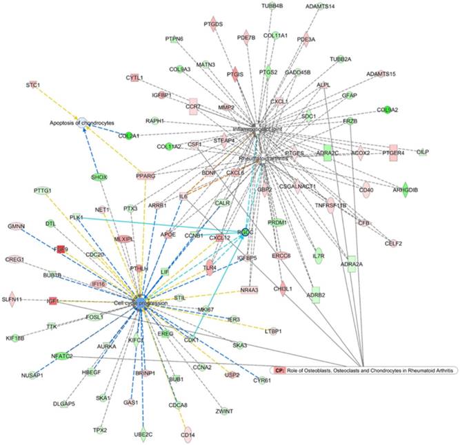 Int J Med Sci Image