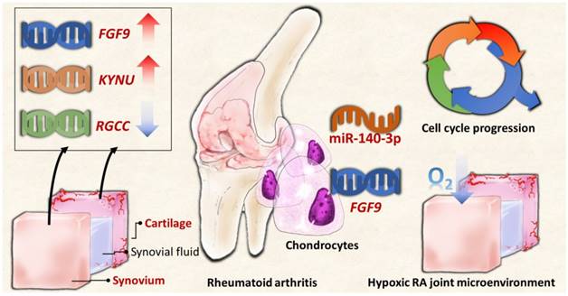 Int J Med Sci Image