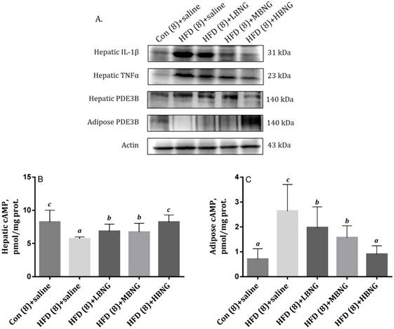 Int J Med Sci Image