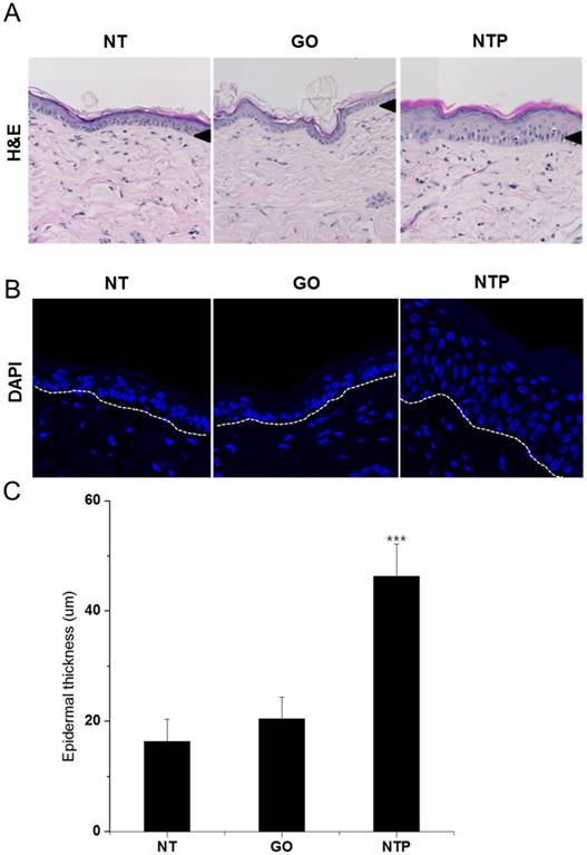 Int J Med Sci Image