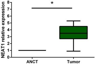 Int J Med Sci Image