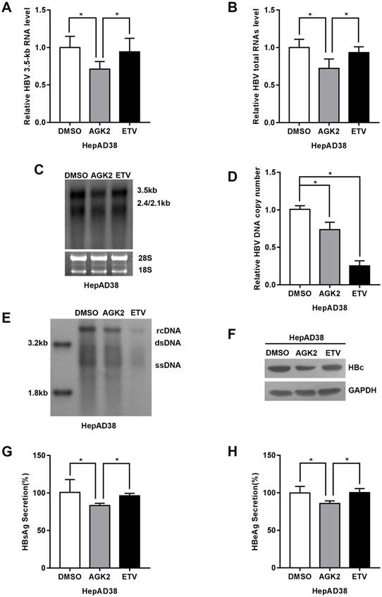 Int J Med Sci Image