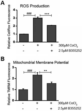 Int J Med Sci Image