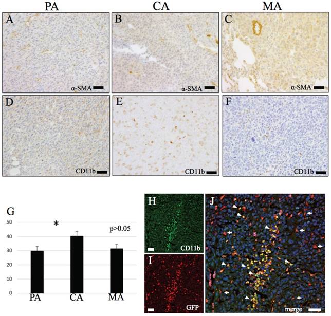 Int J Med Sci Image