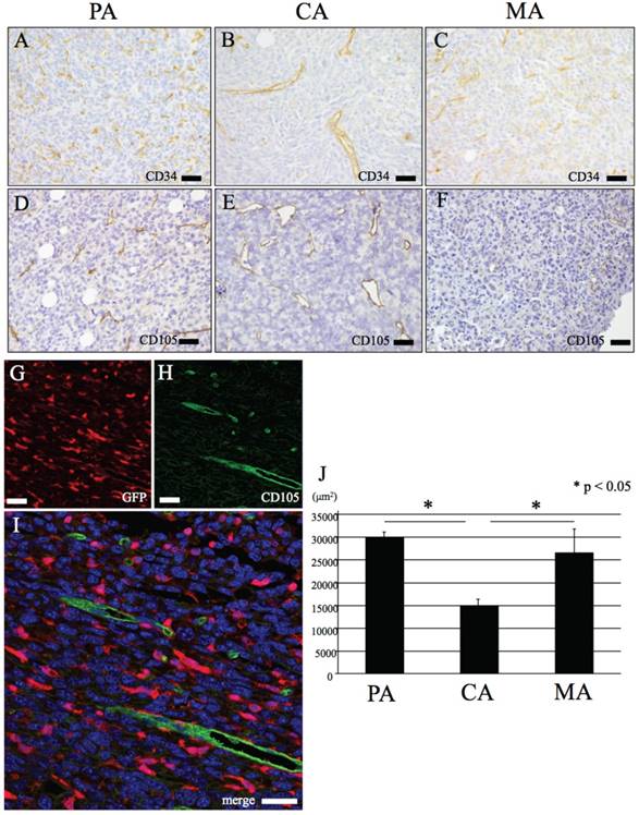 Int J Med Sci Image