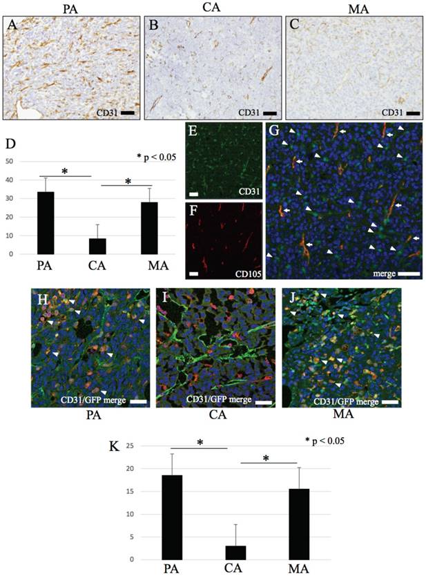 Int J Med Sci Image