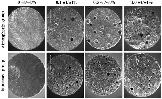 Int J Med Sci Image