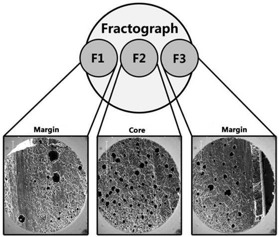 Int J Med Sci Image