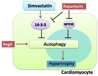 Int J Med Sci Image