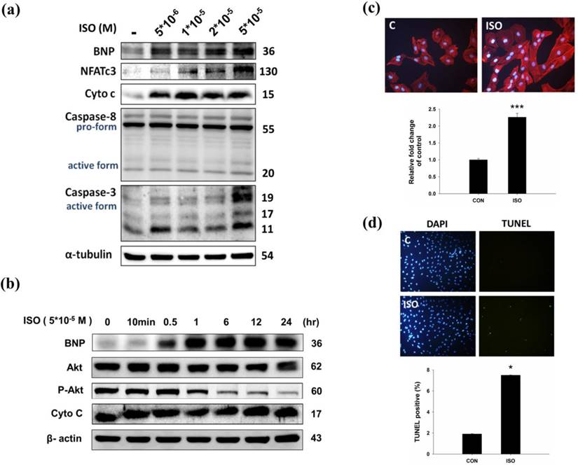 Int J Med Sci Image