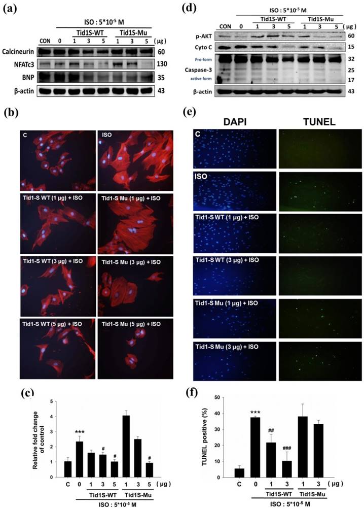 Int J Med Sci Image