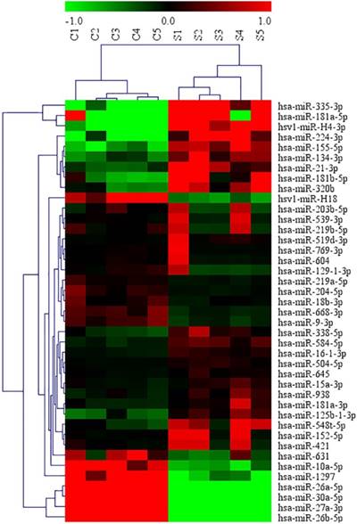 Int J Med Sci Image