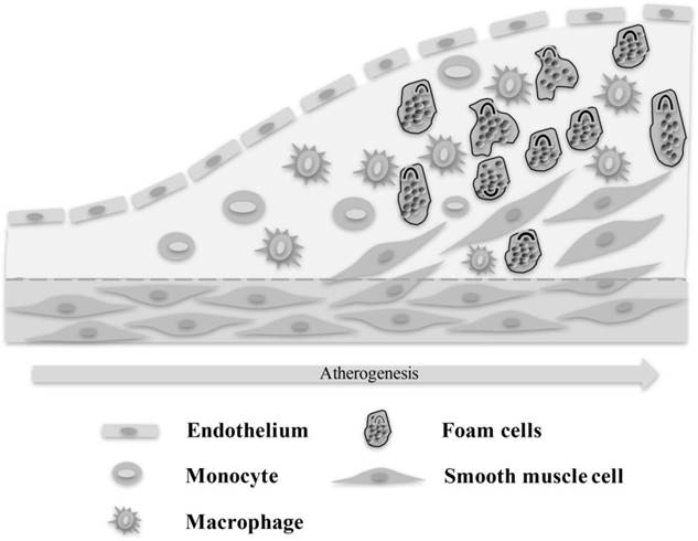Int J Med Sci Image