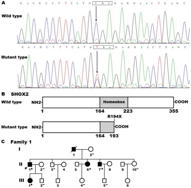 Int J Med Sci Image