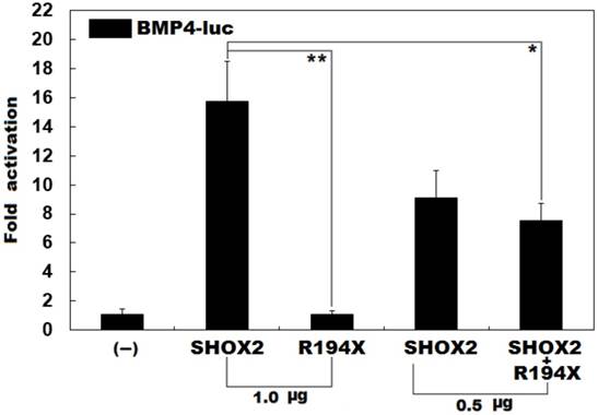 Int J Med Sci Image