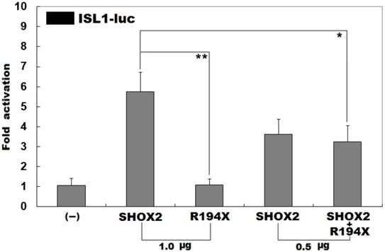 Int J Med Sci Image