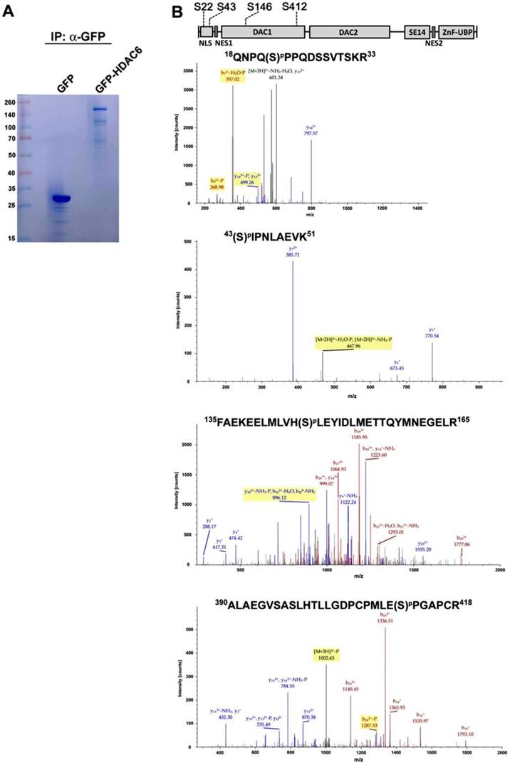 Int J Med Sci Image