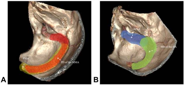 Int J Med Sci Image