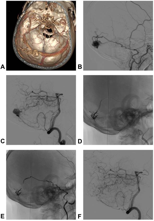 Int J Med Sci Image