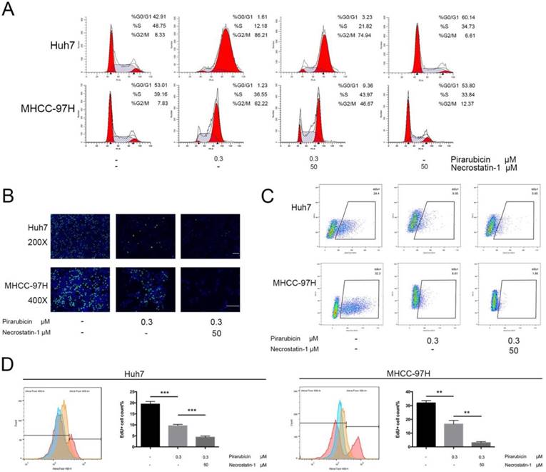 Int J Med Sci Image