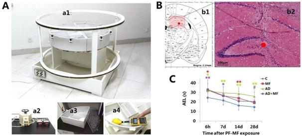 Int J Med Sci Image